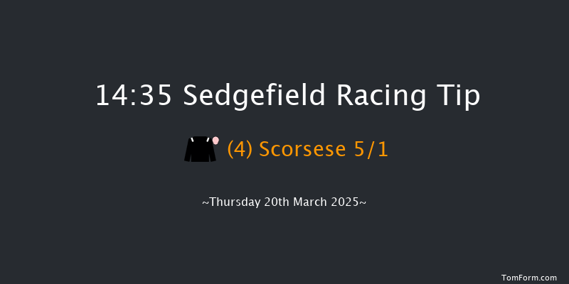 Sedgefield  14:35 Handicap Hurdle (Class 5) 20f Tue 11th Mar 2025