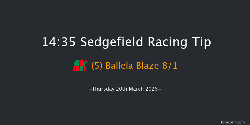 Sedgefield  14:35 Handicap Hurdle (Class 5) 20f Tue 11th Mar 2025