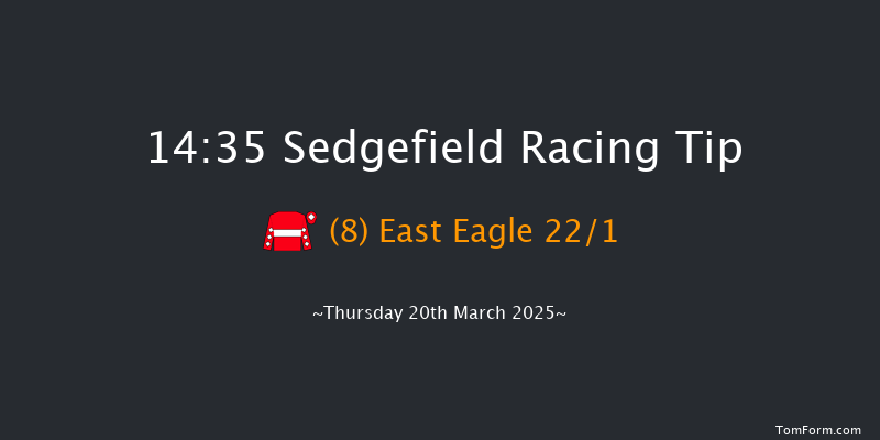 Sedgefield  14:35 Handicap Hurdle (Class 5) 20f Tue 11th Mar 2025
