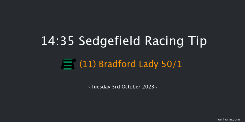 Sedgefield 14:35 Maiden Hurdle (Class 4) 20f Fri 14th Apr 2023
