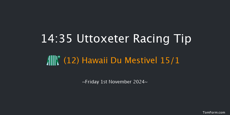 Uttoxeter  14:35 Handicap Hurdle (Class 4) 20f  Fri 18th Oct 2024