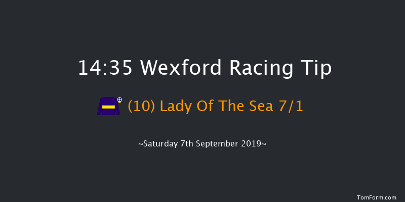 Wexford 14:35 Handicap Hurdle 20f Fri 5th Jul 2019