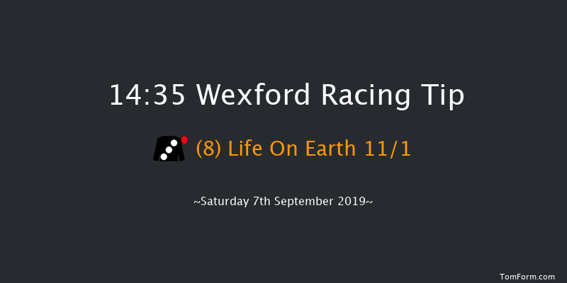 Wexford 14:35 Handicap Hurdle 20f Fri 5th Jul 2019