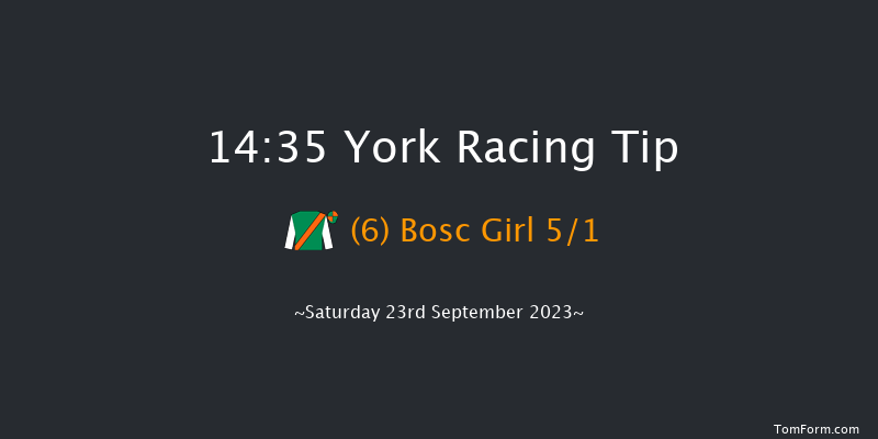 York 14:35 Handicap (Class 4) 10f Sun 10th Sep 2023