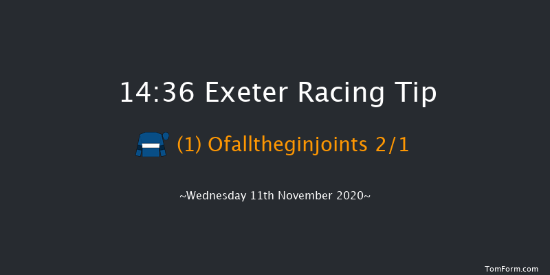 Racing TV Profits Returned To Racing Novices' Limited Handicap Chase (GBB Race) Exeter 14:36 Handicap Chase (Class 3) 24f Tue 3rd Nov 2020