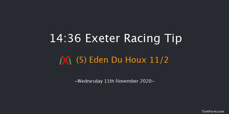 Racing TV Profits Returned To Racing Novices' Limited Handicap Chase (GBB Race) Exeter 14:36 Handicap Chase (Class 3) 24f Tue 3rd Nov 2020