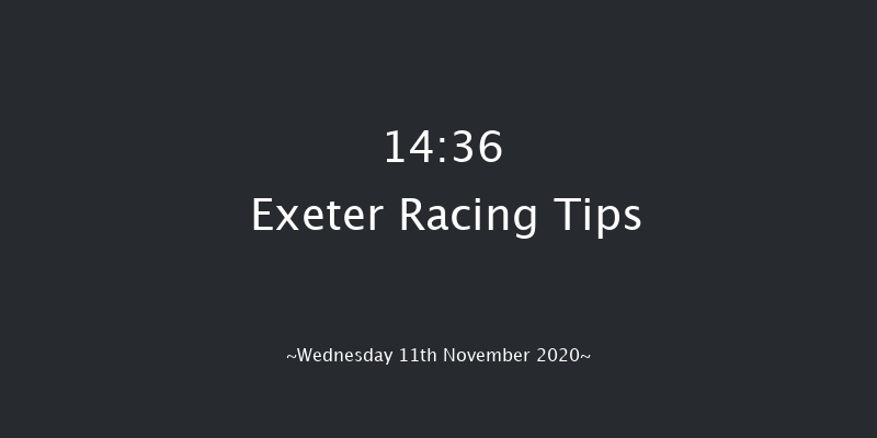 Racing TV Profits Returned To Racing Novices' Limited Handicap Chase (GBB Race) Exeter 14:36 Handicap Chase (Class 3) 24f Tue 3rd Nov 2020