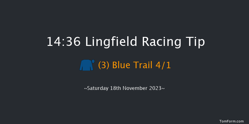 Lingfield 14:36 Listed (Class 1) 10f Tue 14th Nov 2023