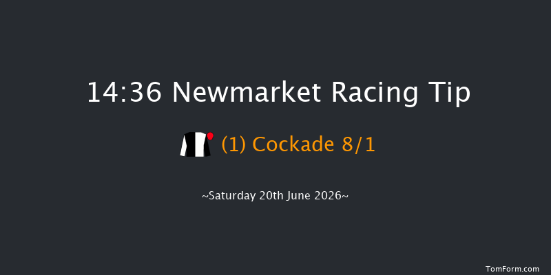 Newmarket 14-36 (Class 4) 8f Fri 19th Jun 2026