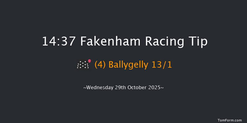 Fakenham 14-37 (Class 5) 24f Sat 18th Oct 2025