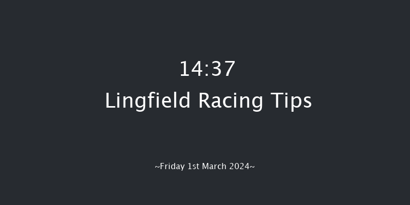 Lingfield  14:37 Handicap
(Class 2) 6f Fri 23rd Feb 2024