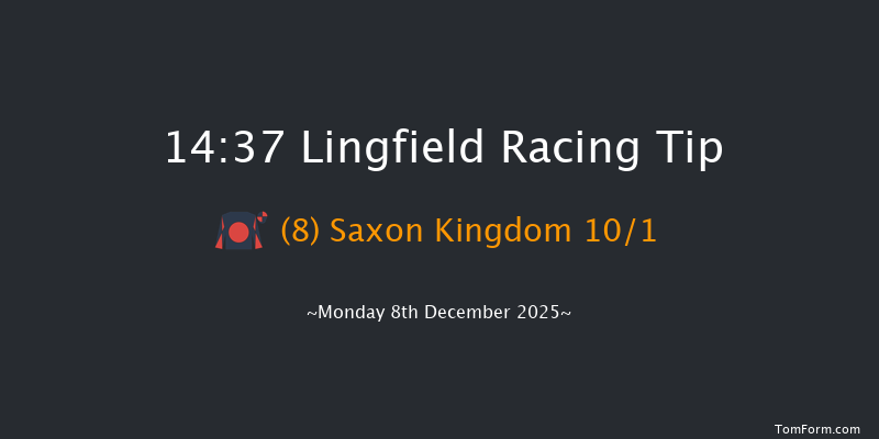 Lingfield 14-37 (Class 6) 8f Wed 3rd Dec 2025