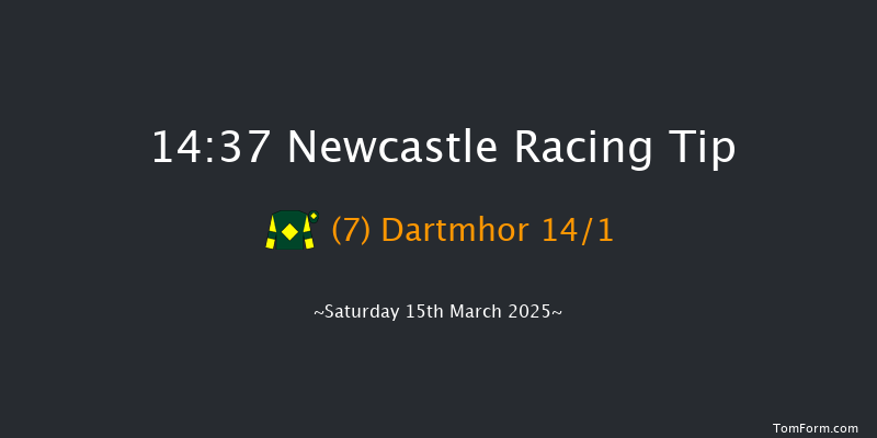 Newcastle  14:37 Handicap Hurdle (Class 5) 20f Thu 13th Mar 2025