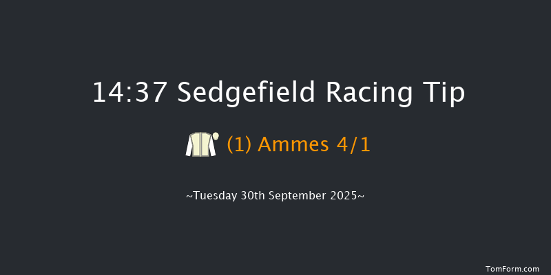 Sedgefield 14-37 (Class 4) 16f Thu 4th Sep 2025