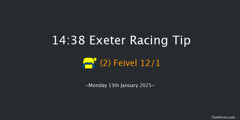 Exeter  14:38 Handicap Chase (Class 3) 24f Wed 1st Jan 2025