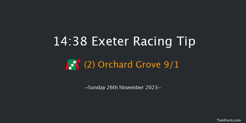 Exeter 14:38 Handicap Hurdle (Class 4) 17f Mon 20th Nov 2023