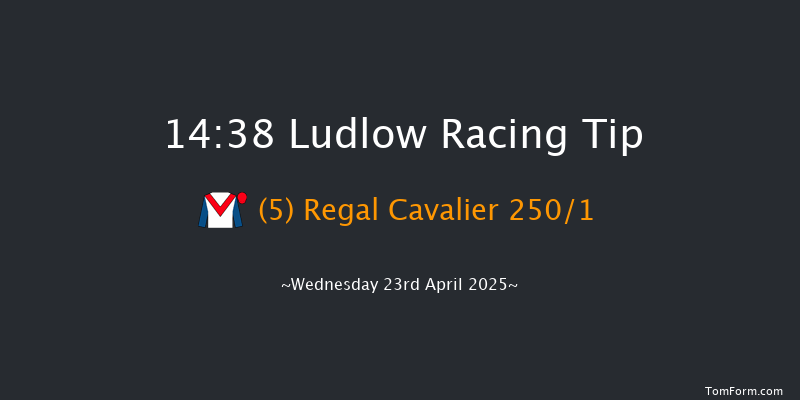 Ludlow 14-38 (Class 4) 15f Wed 2nd Apr 2025