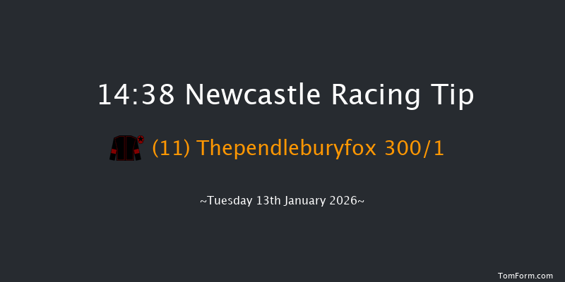 Newcastle 14-38 (Class 4) 7f Sat 10th Jan 2026