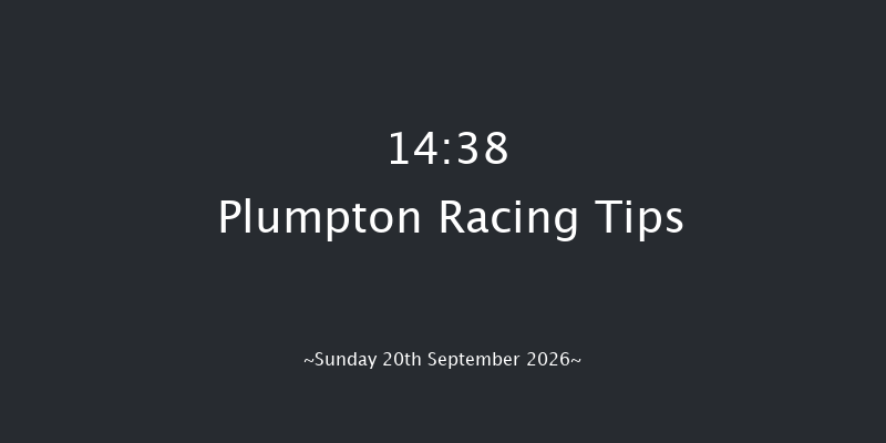 Plumpton 14-38 (Class 4) 15f Tue 26th May 2026