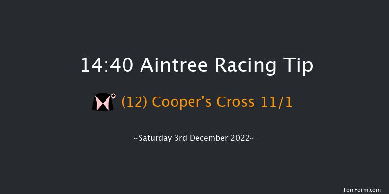 Aintree 14:40 Handicap Chase (Class 2) 20f Sat 5th Nov 2022