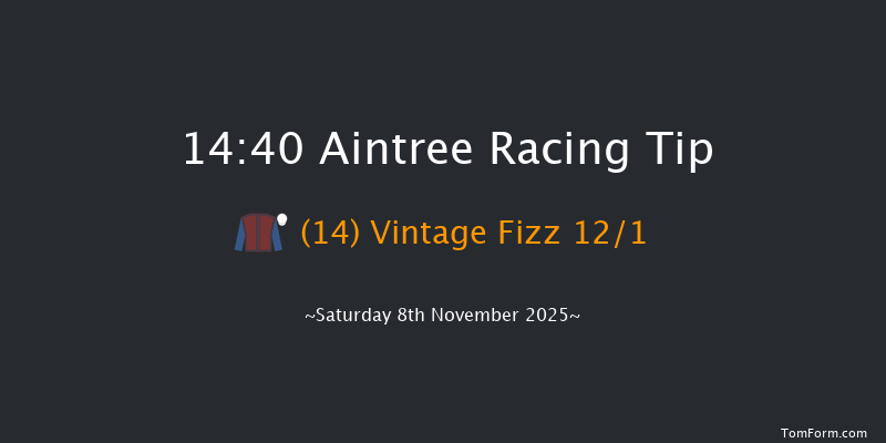 Aintree 14-40 (Class 2) 21f Sun 26th Oct 2025