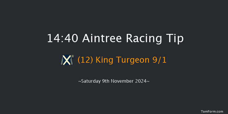 Aintree  14:40 Handicap Chase (Class 2) 21f  Sun 27th Oct 2024