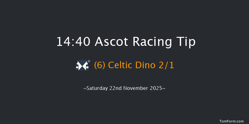Ascot 14-40 (Class 1) 19f Fri 21st Nov 2025
