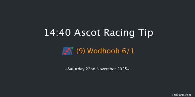 Ascot 14-40 (Class 1) 19f Fri 21st Nov 2025