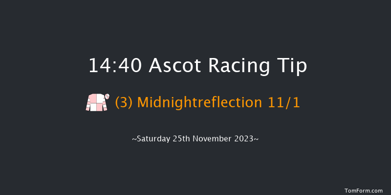Ascot 14:40 Handicap Hurdle (Class 3) 24f Fri 24th Nov 2023