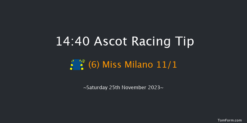 Ascot 14:40 Handicap Hurdle (Class 3) 24f Fri 24th Nov 2023