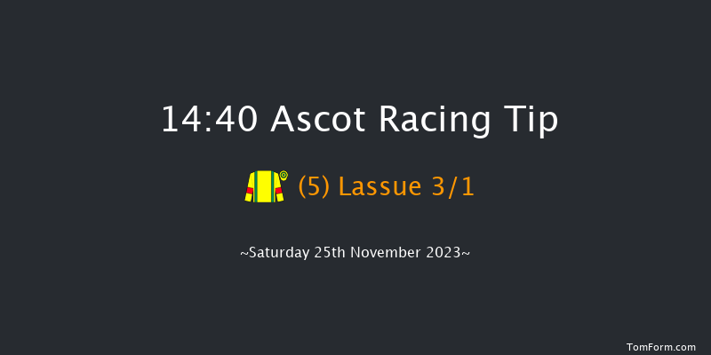 Ascot 14:40 Handicap Hurdle (Class 3) 24f Fri 24th Nov 2023