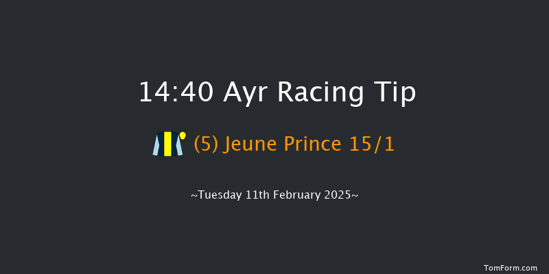 Ayr  14:40 Maiden Hurdle (Class 4) 20f Tue 21st Jan 2025