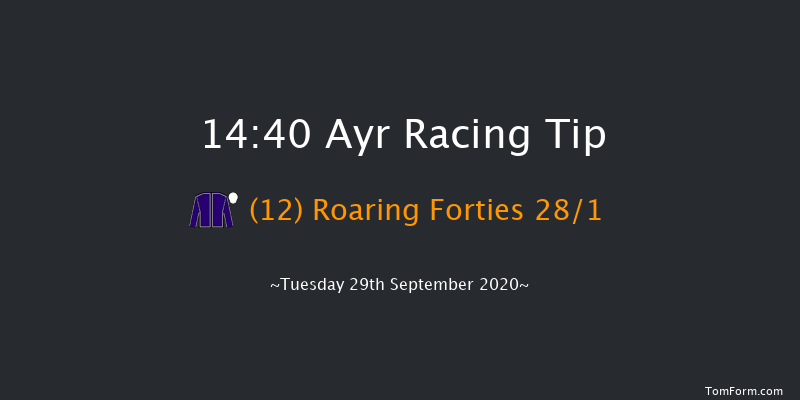 Branding Hub Handicap (Div 2) Ayr 14:40 Handicap (Class 6) 7f Sat 19th Sep 2020