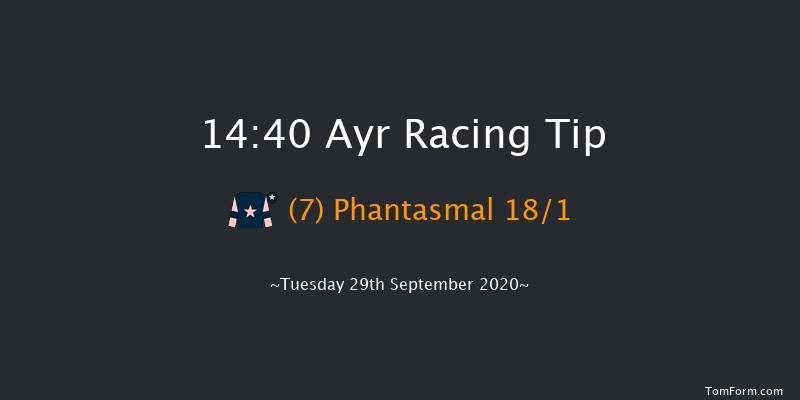 Branding Hub Handicap (Div 2) Ayr 14:40 Handicap (Class 6) 7f Sat 19th Sep 2020