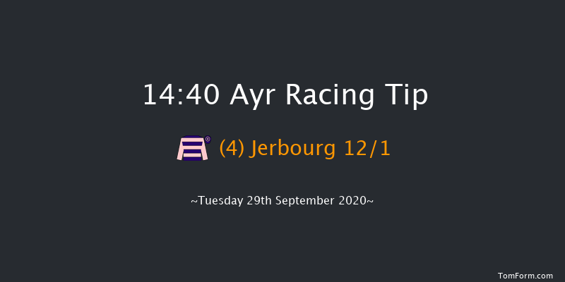 Branding Hub Handicap (Div 2) Ayr 14:40 Handicap (Class 6) 7f Sat 19th Sep 2020