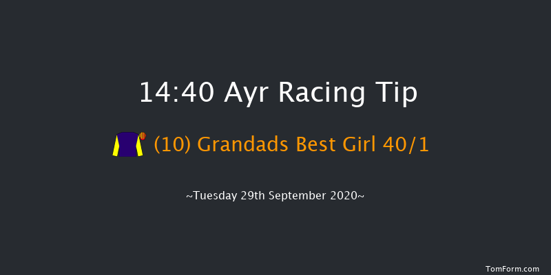 Branding Hub Handicap (Div 2) Ayr 14:40 Handicap (Class 6) 7f Sat 19th Sep 2020