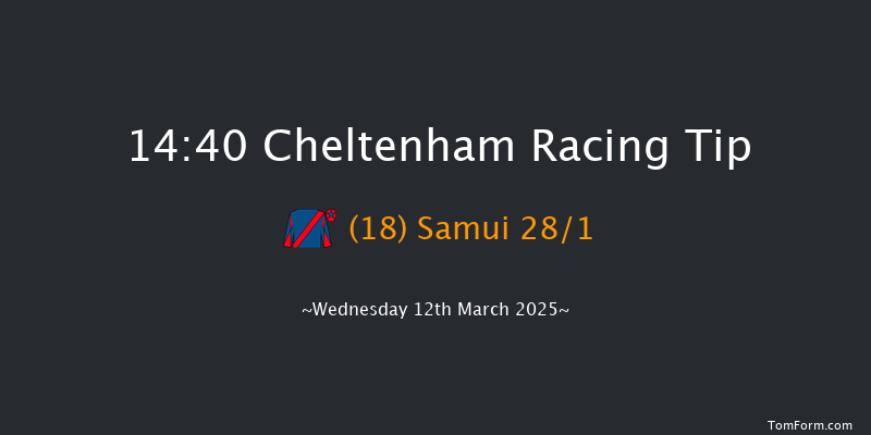 Cheltenham  14:40 Handicap Hurdle (Class 1) 21f Tue 11th Mar 2025
