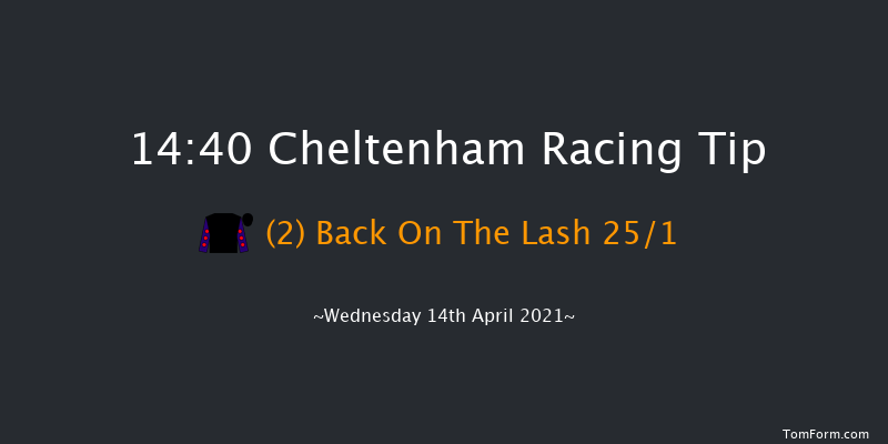 Kingston Stud Handicap Hurdle (GBB Race) Cheltenham 14:40 Handicap Hurdle (Class 2) 20f Fri 19th Mar 2021
