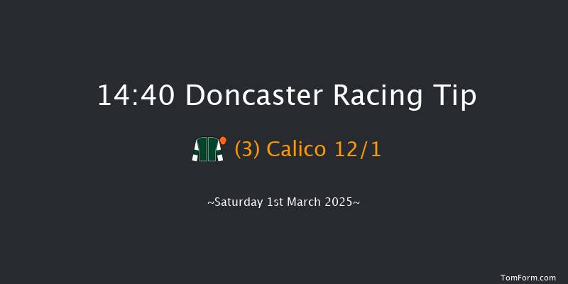 Doncaster  14:40 Handicap Chase (Class 2) 16f Wed 19th Feb 2025