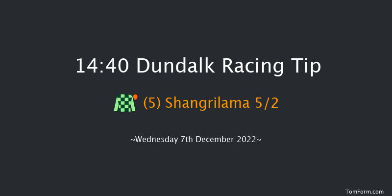 Dundalk 14:40 Handicap 8f Fri 2nd Dec 2022