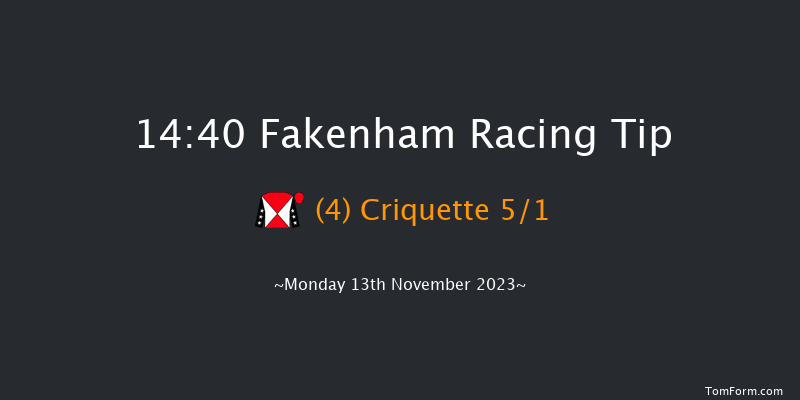 Fakenham 14:40 Handicap Hurdle (Class 5) 20f Wed 1st Nov 2023