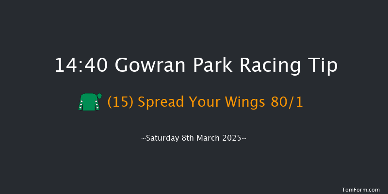 Gowran Park  14:40 Maiden Hurdle 16f Sat 15th Feb 2025