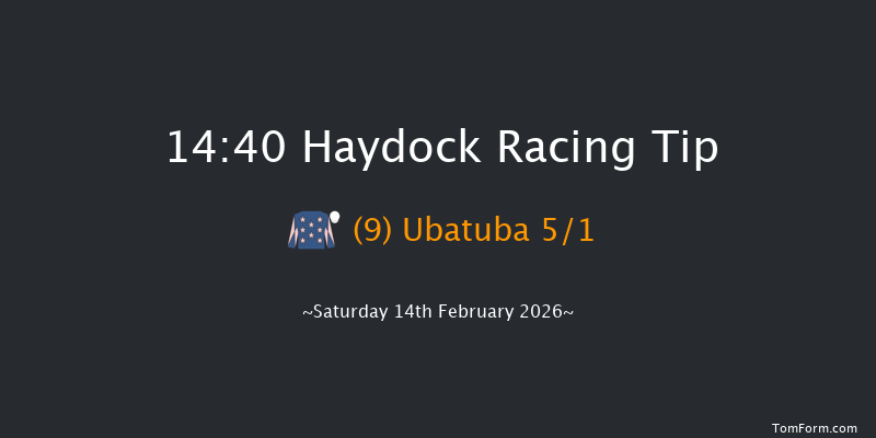 Haydock 14-40 (Class 1) 24f Sat 17th Jan 2026