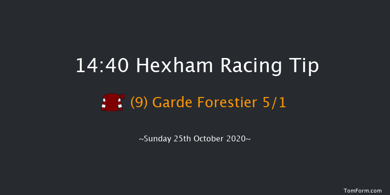 Wall Handicap Hurdle Hexham 14:40 Handicap Hurdle (Class 5) 16f Sat 10th Oct 2020