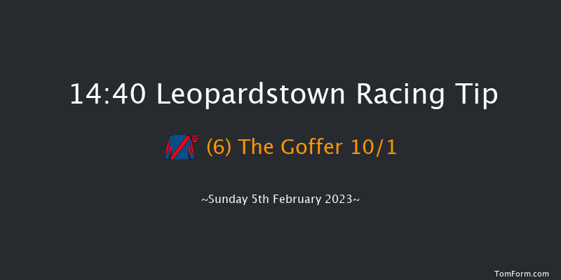 Leopardstown 14:40 Handicap Chase 21f Sat 4th Feb 2023