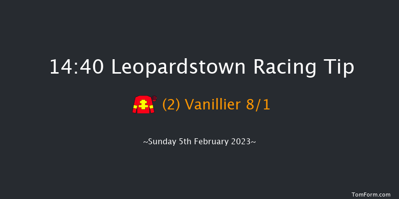 Leopardstown 14:40 Handicap Chase 21f Sat 4th Feb 2023