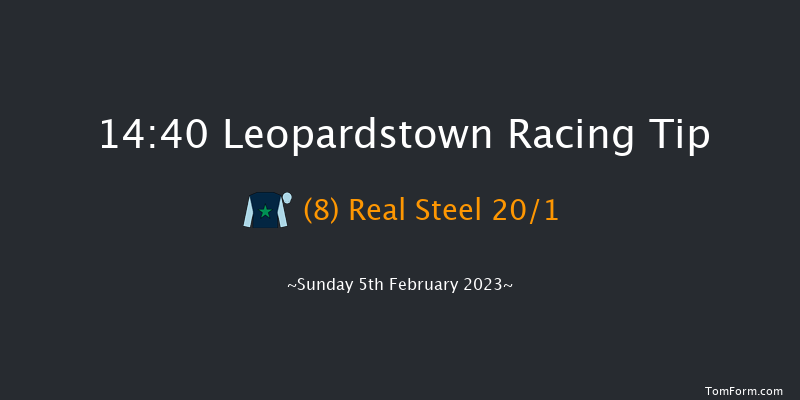 Leopardstown 14:40 Handicap Chase 21f Sat 4th Feb 2023