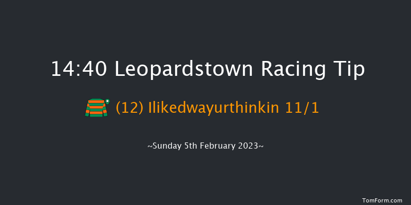 Leopardstown 14:40 Handicap Chase 21f Sat 4th Feb 2023