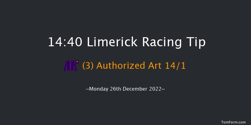 Limerick 14:40 Maiden Chase 20f Tue 22nd Nov 2022