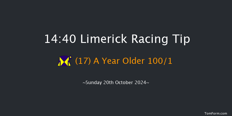 Limerick  14:40 Handicap Hurdle 19f Sat 19th Oct 2024
